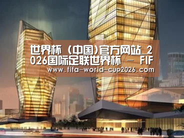 案例展示三