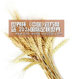 世界杯 (中国)官方网站_2026国际足联世界杯 - FIFA Worldcup